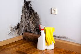 Best Mold Damage Restoration  in Pocono Woodland Lakes, PA